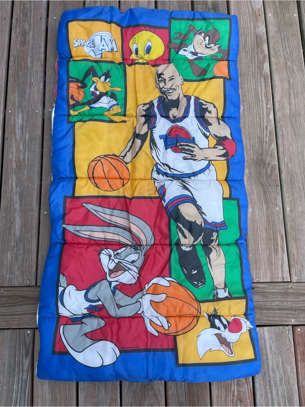 1996 Vtg Space Jam Looney Tunes Michael Jordan Sleeping Bag 30"x57" Polyester